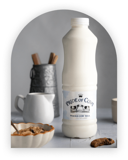 Whole Milk