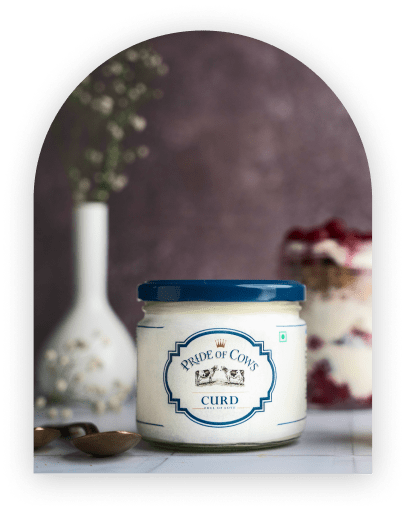 Curd
