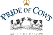 Pride of cows image
